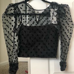 Sheer Crop Top Blouse